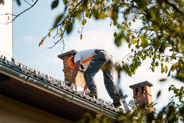 Best Shingle Roofing Installation  in Waukegan, IL