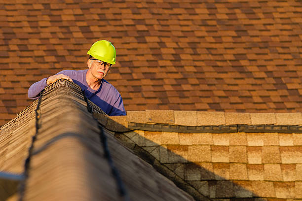 Best Slate Roofing Contractor  in Waukegan, IL