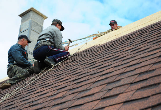 Best Storm Damage Roof Repair  in Waukegan, IL